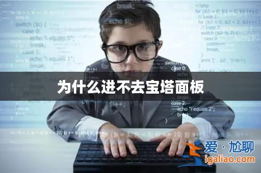 為什么進(jìn)不去寶塔面板？