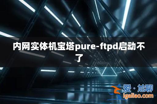 內網實體機寶塔pure-ftpd啟動不了？