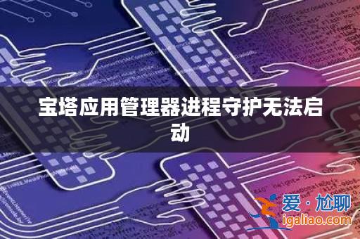 寶塔應用管理器進程守護無法啟動？