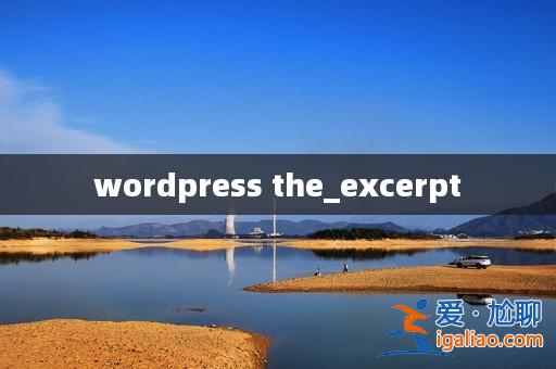 wordpress the_excerpt？
