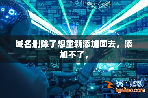 域名刪除了想重新添加回去，添加不了，？