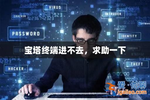 寶塔終端進不去，求助一下？