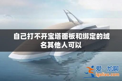 自己打不開寶塔面板和綁定的域名其他人可以？