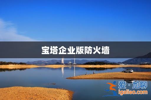 寶塔企業版防火墻? 寶塔企業版防火墻?
