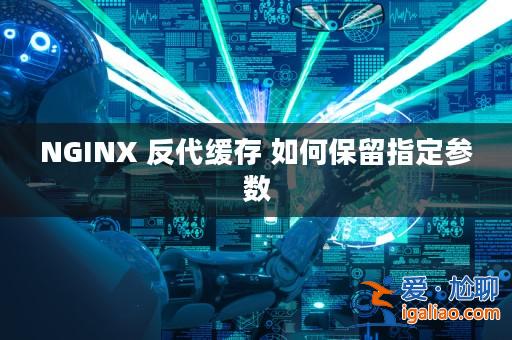 NGINX 反代緩存 如何保留指定參數? NGINX 反代緩存 如何保留指定參數?