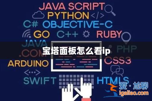 寶塔面板怎么看ip? 寶塔面板怎么看ip?