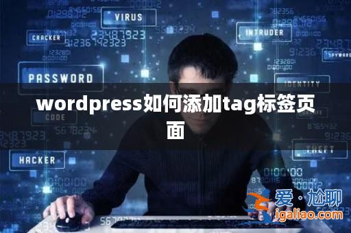wordpress如何添加tag標簽頁面? wordpress如何添加tag標簽頁面?