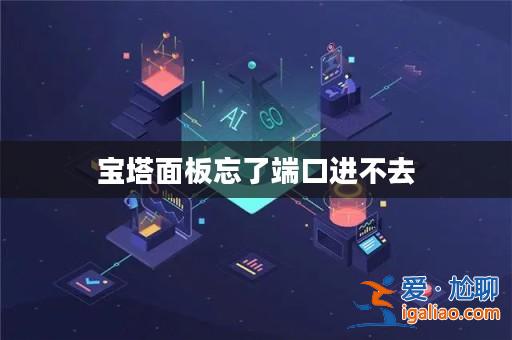 寶塔面板忘了端口進不去？