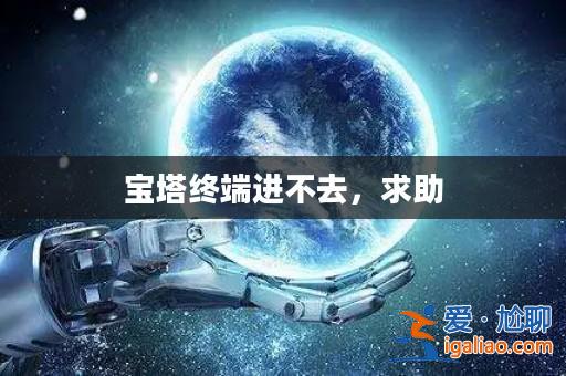 寶塔終端進不去，求助？
