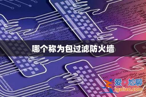 哪個稱為包過濾防火墻? 哪個稱為包過濾防火墻?
