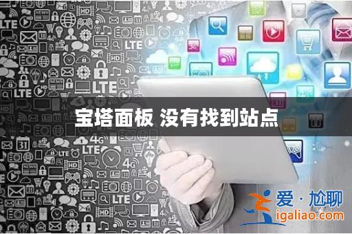 寶塔面板 沒有找到站點？