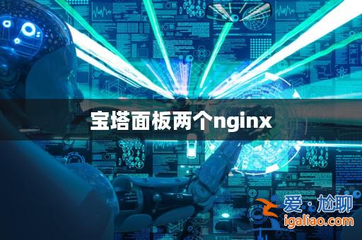 寶塔面板兩個nginx? 寶塔面板兩個nginx?