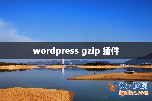 wordpress gzip 插件？