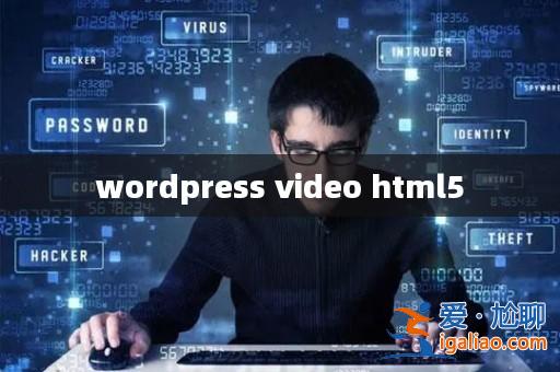 wordpress video html5？