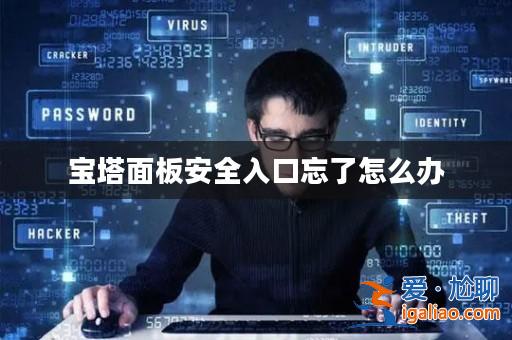 寶塔面板安全入口忘了怎么辦? 寶塔面板安全入口忘了怎么辦?