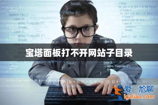 寶塔面板打不開網站子目錄? 寶塔面板打不開網站子目錄?