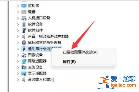 Win11移動硬盤不顯示怎么辦?Win11移動硬盤不顯示問題解析? Win11移動硬盤不顯示怎么辦?Win11移動硬盤不顯示問題解析?
