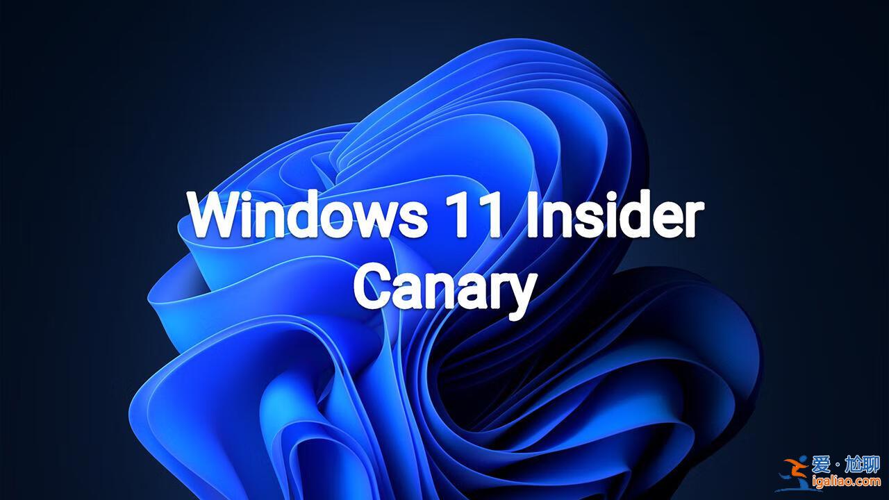 Windows 11 Canary 全新構建版本預計下周發布? Windows 11 Canary 全新構建版本預計下周發布?