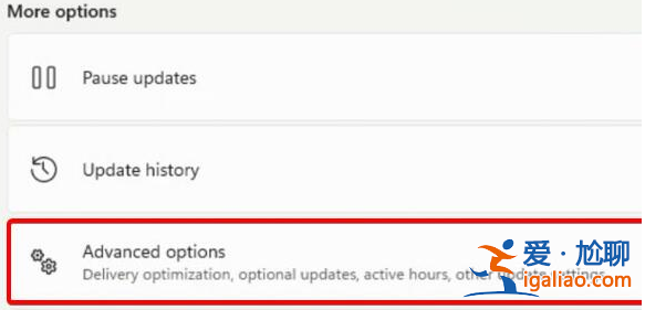 win11攝像頭無法打開怎么辦? win11攝像頭無法打開怎么辦?