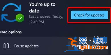win11攝像頭無法打開怎么辦? win11攝像頭無法打開怎么辦?