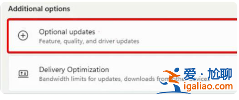 win11攝像頭打開(kāi)黑屏怎么辦？