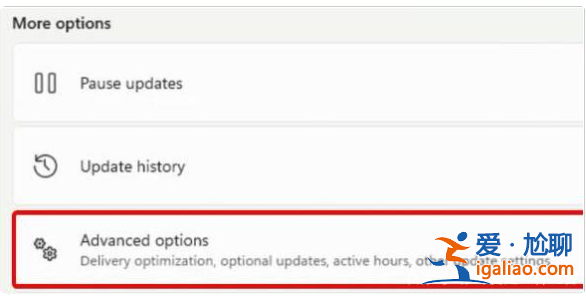 win11攝像頭打開(kāi)黑屏怎么辦？