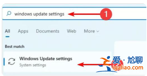 win11攝像頭打開(kāi)黑屏怎么辦？
