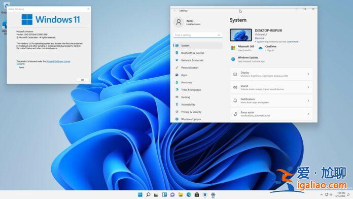 Windows11：微軟為不受支持的PC批準桌面水印！(附去除水印方法)？